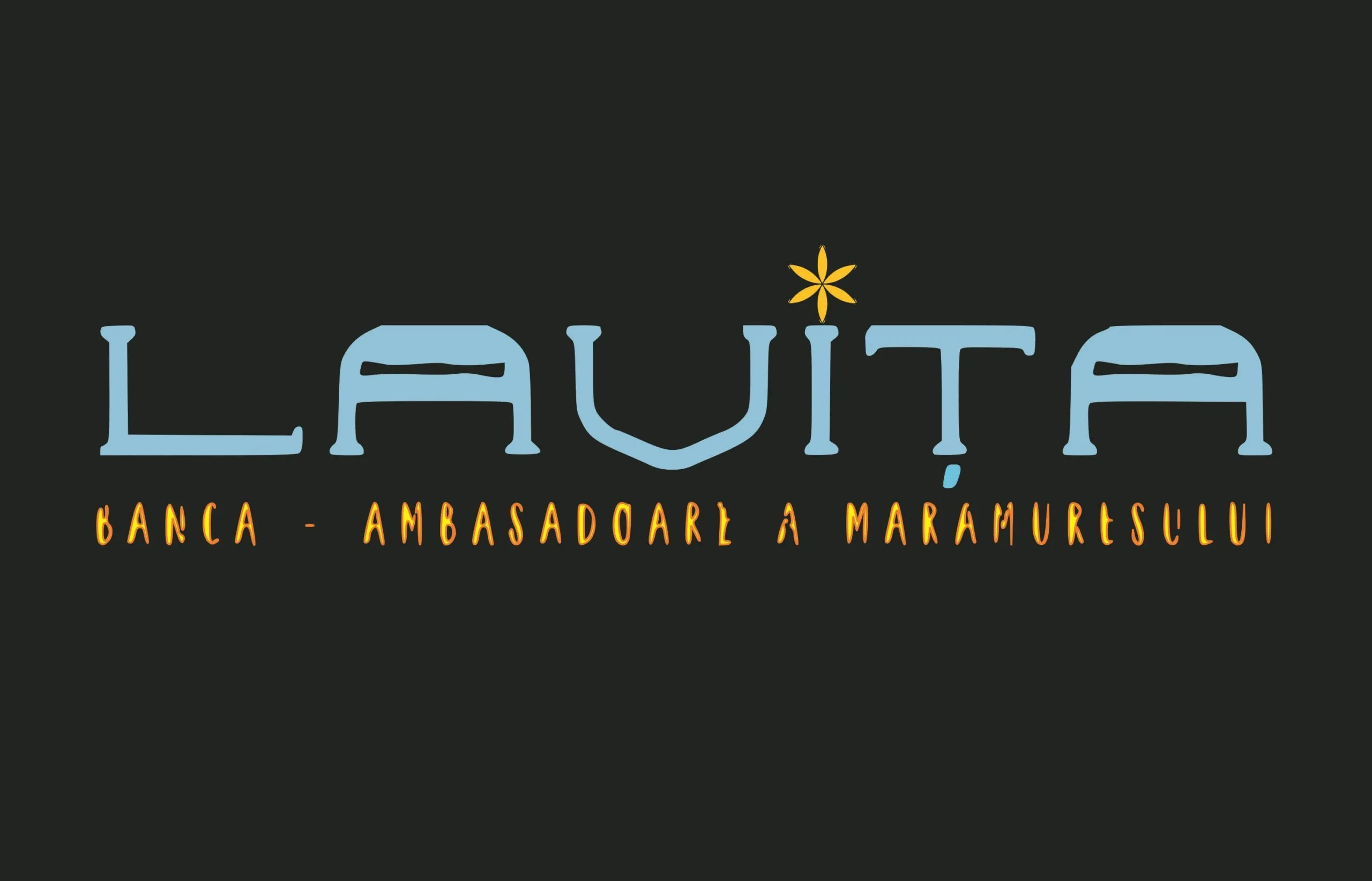 logo_lavita2 logo_lavita2