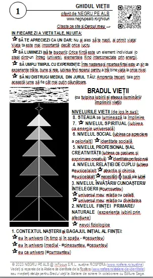 Ghidul Vietii - Bradul Vietii