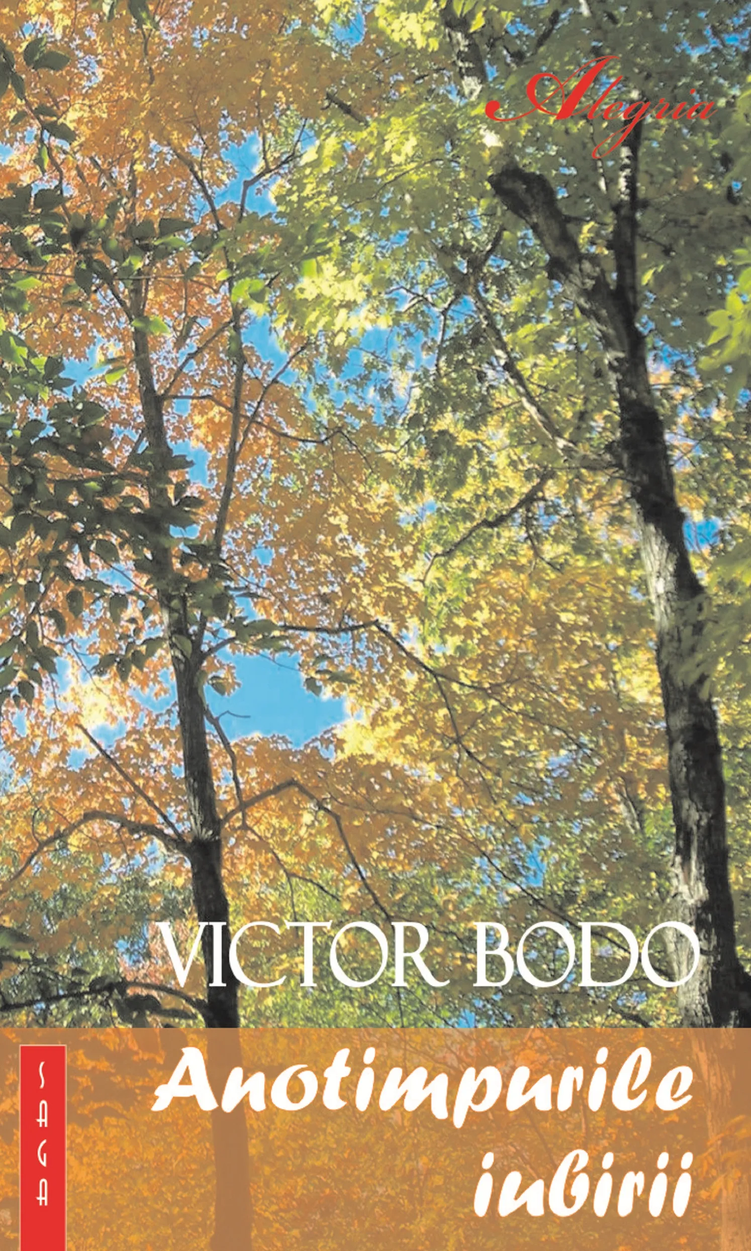 Website Victor Bodo