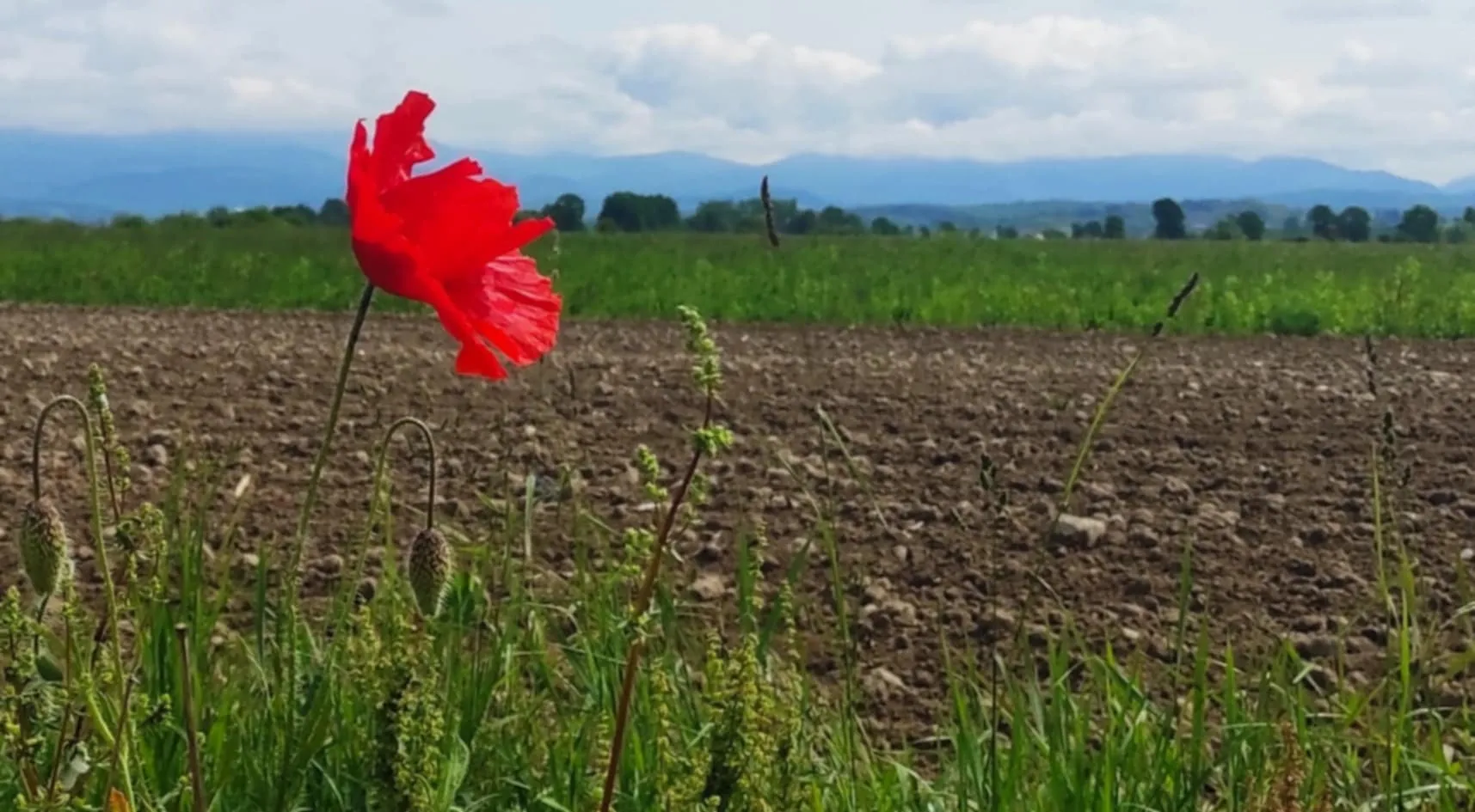 #maramures #vederedinCoruia cu #BaiaMare în zare #maramures #vederedinCoruia cu #BaiaMare în zare