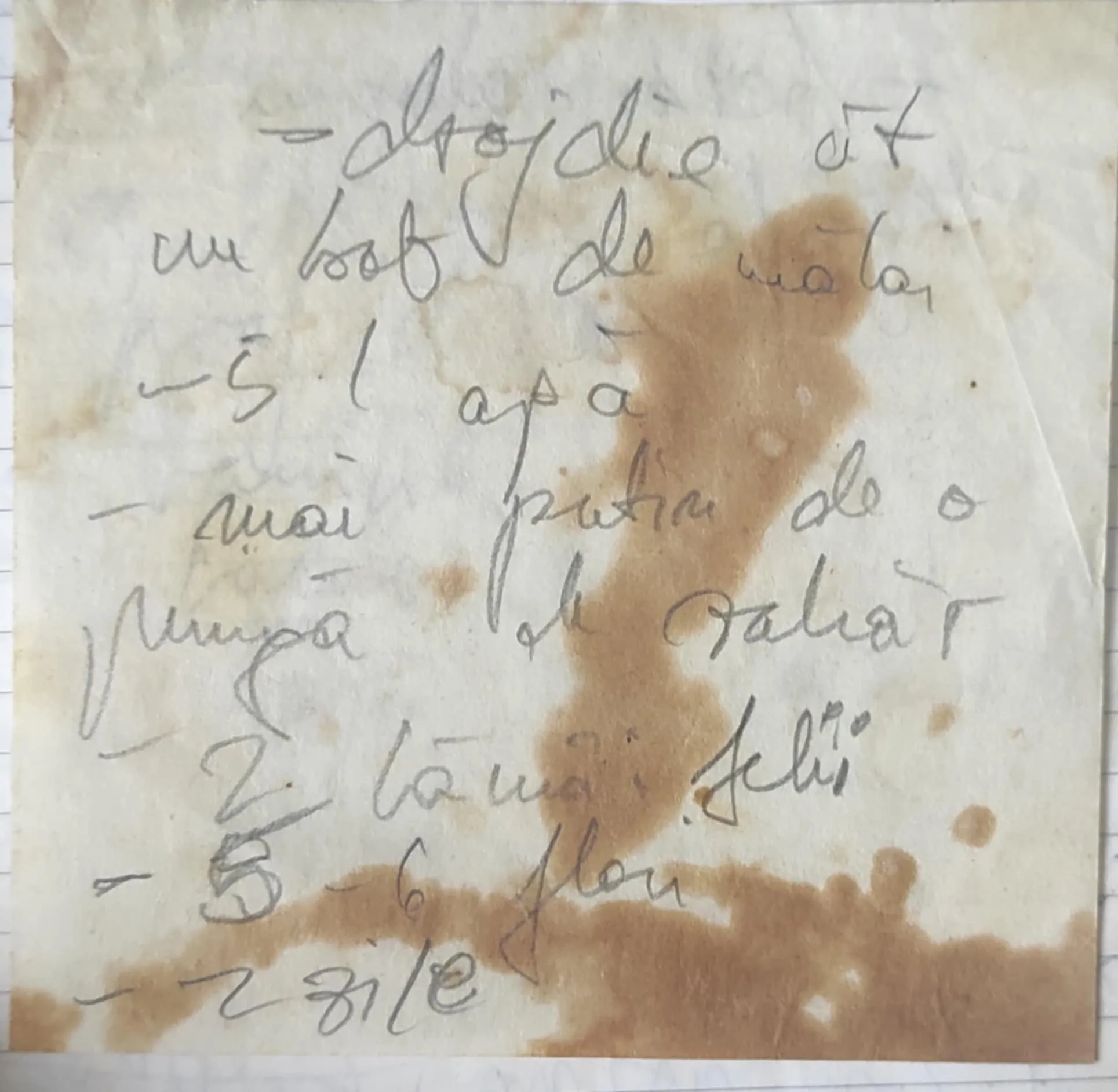 Rețetă de Socată notată de la Ica (din Runcu Salvei) în jurul anului 2000 Rețetă de Socată notată de la Ica (din Runcu Salvei) în jurul anului 2000