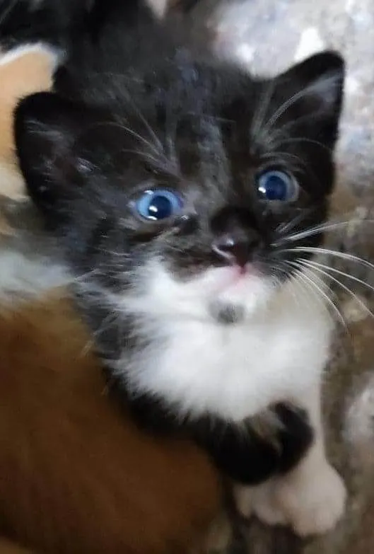 Edgar Edgar