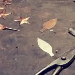 Ornamente din cupru pentru giruetă Ornamente din cupru pentru giruetă